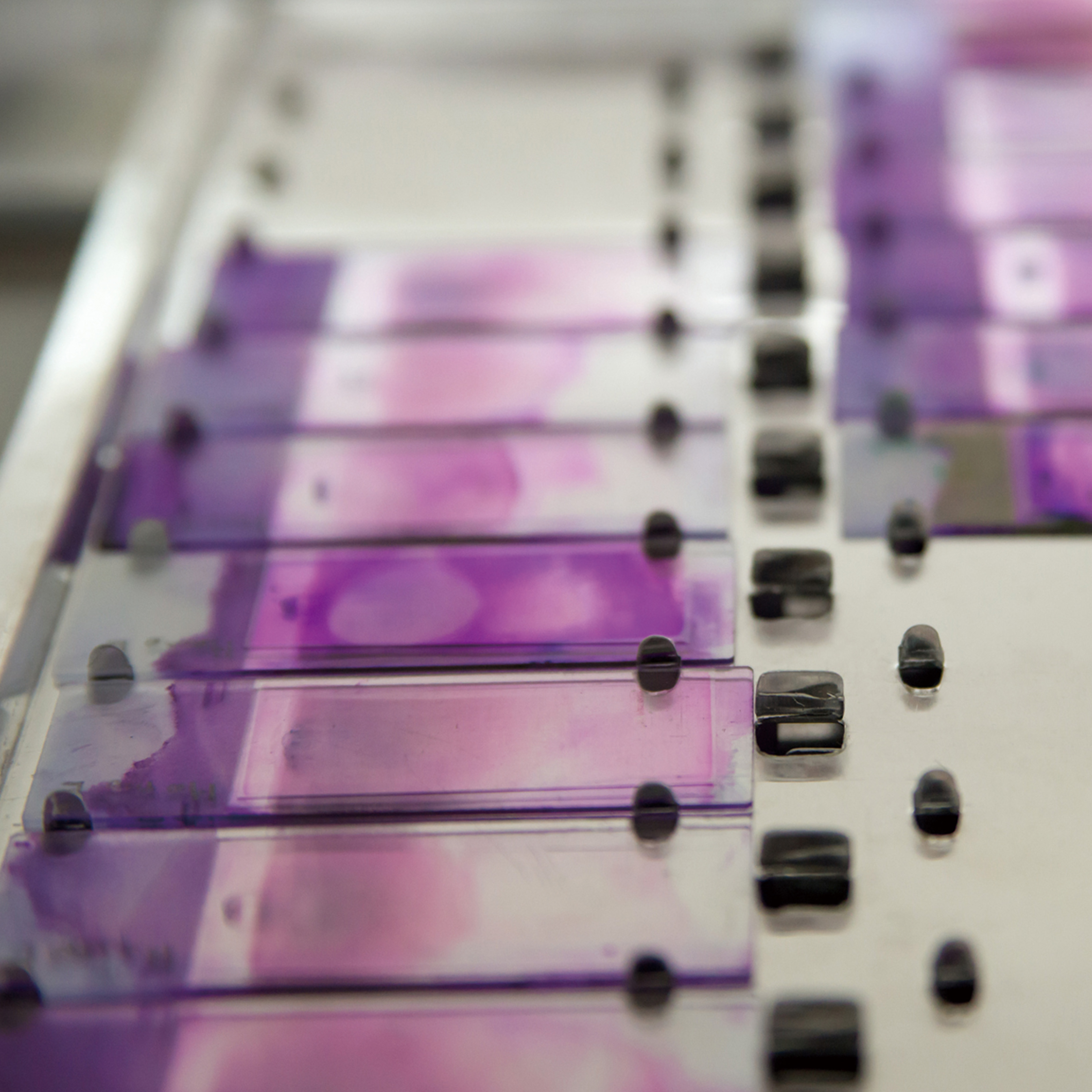 02 smearmat microscope slides